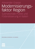 Alexander Grasse - Modernisierungsfaktor Region