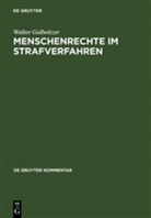 Walter Gollwitzer - Menschenrechte im Strafverfahren, Kommentar