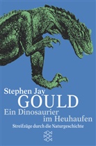 Stephen J. Gould, Stephen Jay Gould - Ein Dinosaurier im Heuhaufen