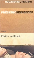 Frédéric Beigbeder - Ferien im Koma