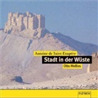 Antoine de Saint-Exupéry - Stadt in der Wüste, 2 Audio-CDs (Hörbuch)