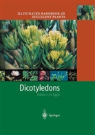 Ur Eggli, Urs Eggli, Heidrun E. K. Hartmann - Illustrated Handbook of Succulent Plants: Dicotyledons
