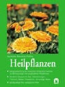 Mannfried Pahlow - Heilpflanzen Selbstbehandlung der häufigsten Alltagsbeschwerden und Erkrankungen mit ausgewählten Heilpflanzen. Bewährte Rezepte für Tees, Teemischungen, Tinkturen, Salben, Inhalationen, Umschläge, Bäder. Sachkundiger Rat, verlässliche Hilfen