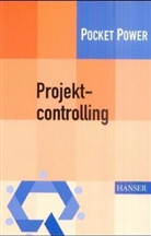 Thomas Brandt - Projektcontrolling