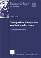 Ulrich David - Strategisches Management von Controllerbereichen