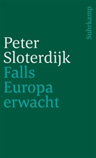 Peter Sloterdijk - Falls Europa erwacht