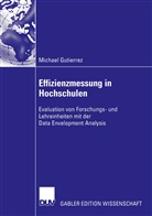 Michael Gutierrez - Effizienzmessung in Hochschulen