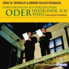 Jörg W. Gronius, Bernd Rauschenbach - Tonstörung aus Philadelphia oder Heidelinde ich weiss, 1 Audio-CD (Audio book)