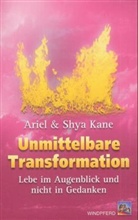 Ariel Kane, Shya Kane - Unmittelbare Transformation