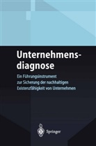 Klaus P Nührich, Klaus P. Nührich, Klaus Peter Nührich, Hauser, A Hauser, A. Hauser - Unternehmensdiagnose