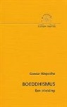 Gonsar (Rinpoche) - Boeddhisme een inleiding