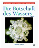 Masaru Emoto, Marc Berger - Botschaften des Wassers: Die Botschaft des Wassers. Bd.1