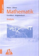 Armin Baeger - Mathematik Grundkurs: Aufgabenbuch, Teil: Analysis