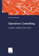 Bernhard Schroeter - Operatives Controlling