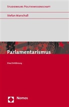 Stefan Marschall - Parlamentarismus
