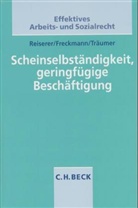 Anke Freckmann, Kerstin Reiserer, Stefan Träumer - Scheinselbständigkeit, geringfügige Beschäftigung