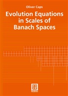 Oliver Caps - Evolution Equations in Scales of Banach Spaces