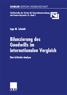 Ingo M Schmidt, Ingo M. Schmidt - Bilanzierung des Goodwills im internationalen Vergleich