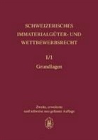 Schweizerisches Immaterialgüter- und Wettbewerbsrecht: Grundlagen. Allgemeiner Teil