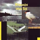 Friedrich Dürrenmatt, Wolfgang Reichmann - Turmbau, Stoffe IV-IX, 1 Audio-CD (Hörbuch)