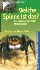 Barbara Baehr, Martin Baehr - Welche Spinne ist das?