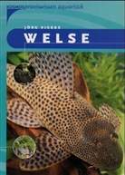 Jörg Vierke - Welse