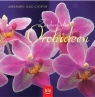 Brigitte Goede, Ulrike Romeis - Zauberhafte Orchideen