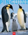 Boris Culik - Pinguine. Spezialisten fürs Kalte