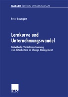 Peter Baumgart - Lernkurve und Unternehmungswandel