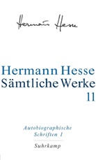 Hermann Hesse, Volke Michels, Volker Michels - Sämtliche Werke - 11: Sämtliche Werke in 20 Bänden