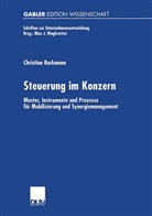 Christian Backmann - Steuerung im Konzern