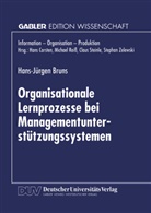 Hans J. Bruns, Hans-Jürgen Bruns - Organisationale Lernprozesse bei Managementunterstützungssystemen