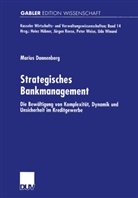 Marius Dannenberg - Strategisches Bankmanagement