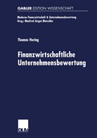 Thomas Hering - Finanzwirtschaftliche Unternehmensbewertung