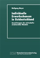 Wolfgang Meyer - Individuelle Erwerbschancen in Ostdeutschland