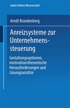 Arndt Brandenberg - Anreizsysteme zur Unternehmenssteuerung