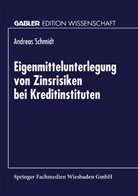 Andreas Schmidt - Eigenmittelunterlegung von Zinsrisiken bei Kreditinstituten