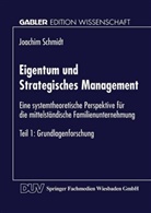 Joachim Schmidt - Eigentum und Strategisches Management