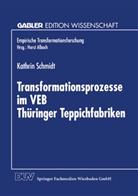 Kathrin Schmidt - Transformationsprozesse im VEB Thüringer Teppichfabriken