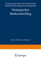 Anton S. Schmölz, Anton Sebastian Schmölz - Strategisches Bankcontrolling