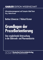 Helmut Krcmar, Bettina Schwarzer - Grundlagen der Prozeßorientierung