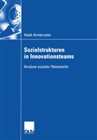 Heidi Armbruster - Sozialstrukturen in Innovationsteams