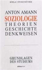 Anton Amann - Soziologie