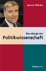 Anton Pelinka - Grundzüge der Politikwissenschaft
