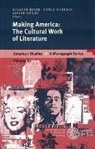 Susanne Rohr, Peter Schneck, Susanne Rohr, Peter Schneck, Sabine Sielke - Making America: The Cultural Work of Literature