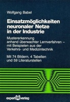 Wolfgang Babel - Einsatzmöglichkeiten neuronaler Netze in der Industrie