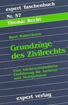 Kurt Haberkorn - Grundzüge des Zivilrechts