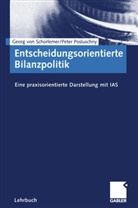 Peter Posluschny, Georg vo Schorlemer, Georg von Schorlemer - Entscheidungsorientierte Bilanzpolitik