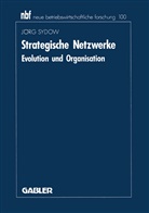 Jörg Sydow - Strategische Netzwerke