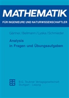 Margitt Bellmann, Margitta Bellmann, Karl H. Gärtner, Karl-Hein Gärtner, Karl-Heinz Gärtner, Wern Lyska... - Analysis in Fragen und Übungsaufgaben